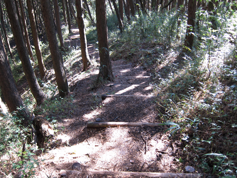 20201105hike (164)